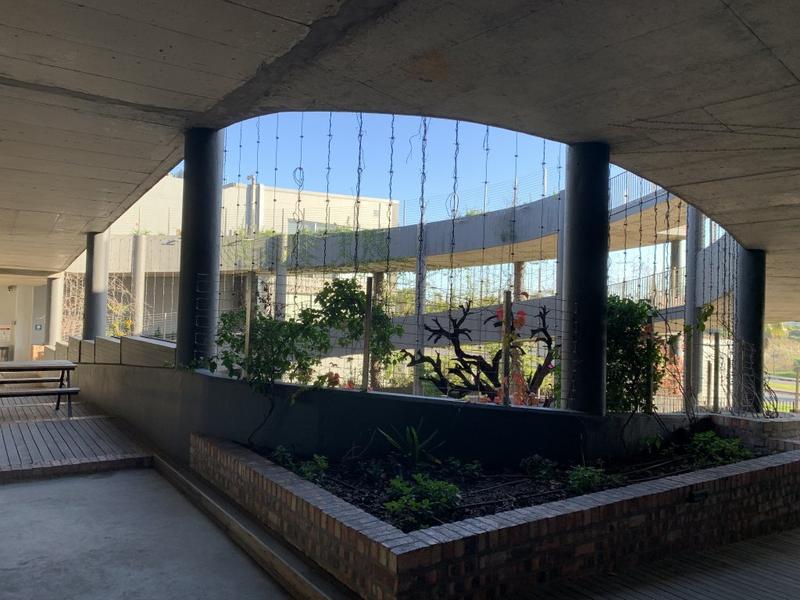 To Let commercial Property for Rent in Paarden Eiland Western Cape